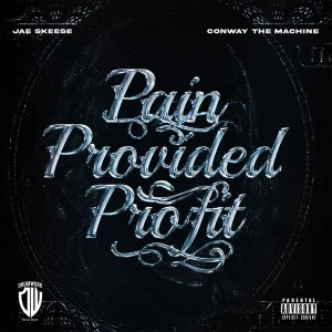 Pain Provided Profit cover art