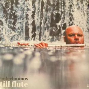Still Flute cover art