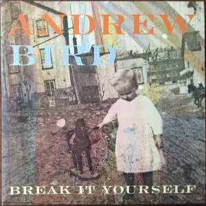Break It Yourself cover art