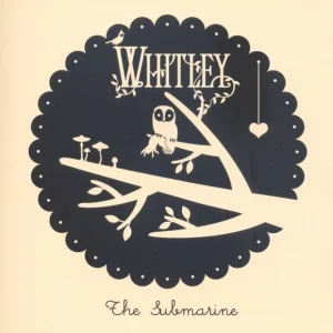 The Submarine cover art