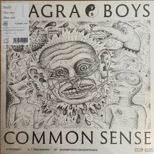 Common Sense cover art