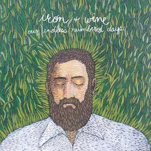 Our Endless Numbered Days cover art