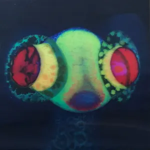 SORCS 80 cover art