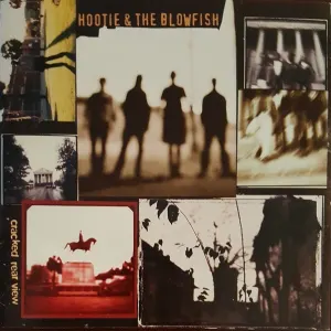 Cracked Rear View cover art