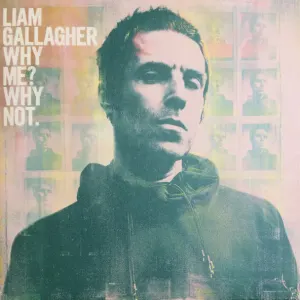 Why Me? Why Not. cover art