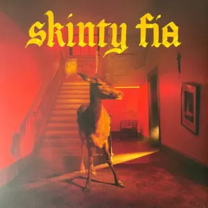 Skinty Fia cover art