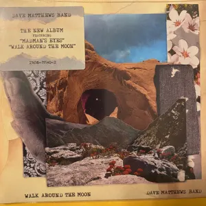 Walk Around The Moon  cover art