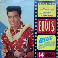 Blue Hawaii cover art