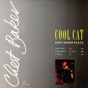 Cool Cat cover art