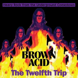 Brown Acid: The Twelfth Trip (Heavy Rock From The Underground Comedown) cover art