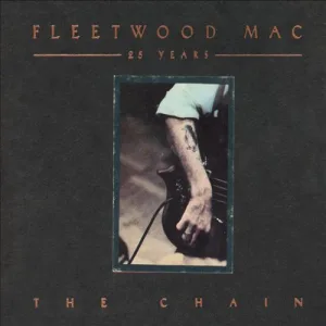 25 Years The Chain cover art