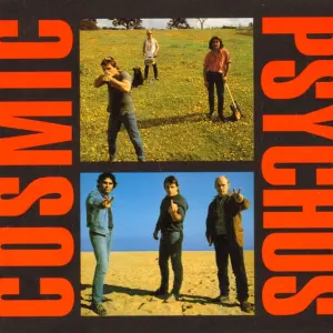 Down On The Farm & Cosmic Psychos cover art