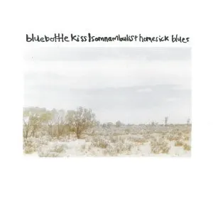 Somnambulist Homesick Blues cover art