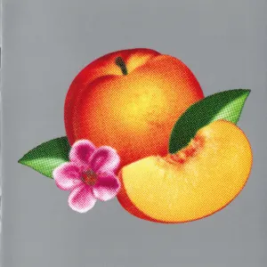 Bankrupt! cover art