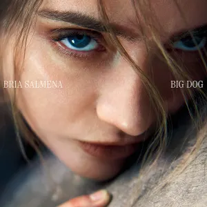Big Dog cover art