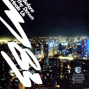 Before The Dawn Heals Us cover art