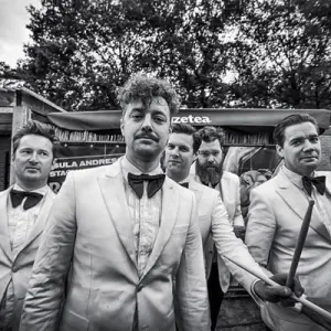 The Hives