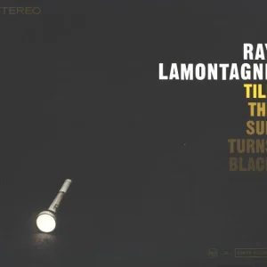 Till The Sun Turns Black cover art