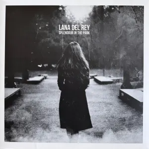 Splendour In The Park cover art