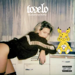 Sunshine Kitty cover art