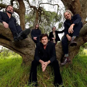 Tex Perkins & The Fat Rubber Band