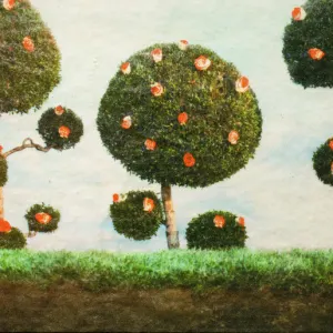 Painting The Roses cover art