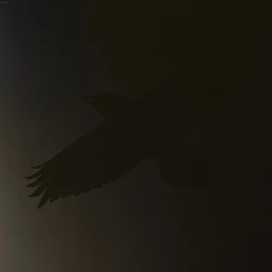 Odin's Raven Magic cover art