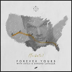 Forever Yours (Avicii Tribute) cover art
