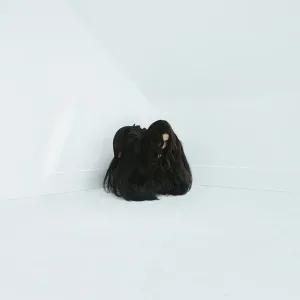 Hiss Spun cover art
