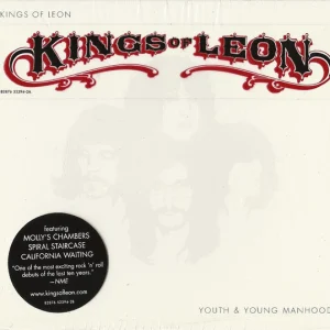 Youth & Young Manhood cover art