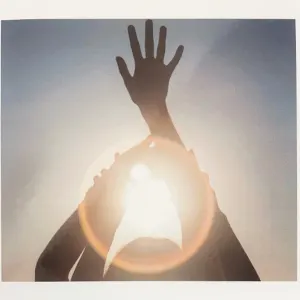 Shelter cover art