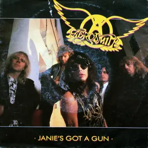 Janie's Got A Gun cover art