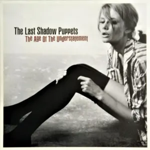 The Age Of The Understatement cover art