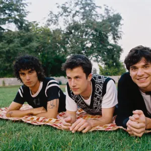 Wallows