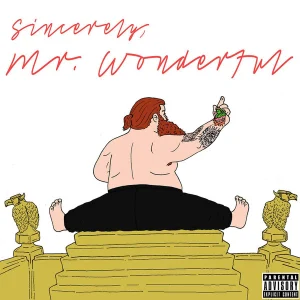 Mr. Wonderful cover art