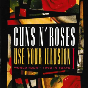 Use Your Illusion I cover art