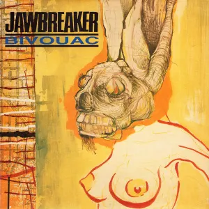 Bivouac cover art