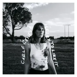 Learn To Like It cover art