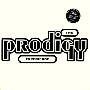 Experience cover art