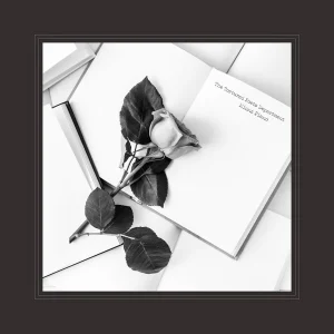 The Tortured Poets Department (The Anthology): Piano Instrumentals cover art