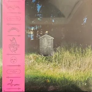 Dark Rainbow cover art