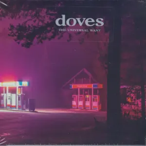 The Universal Want cover art