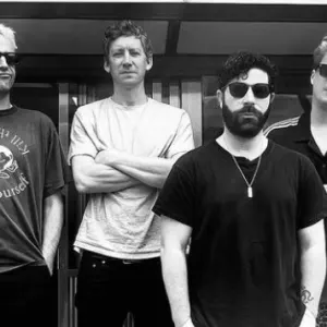 Foals