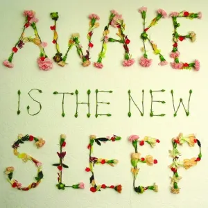 Awake Is The New Sleep cover art