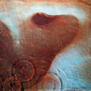 Meddle cover art