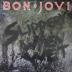 Slippery When Wet cover art