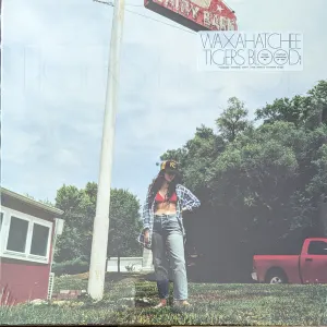 Tigers Blood cover art