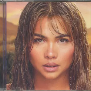Panorama cover art