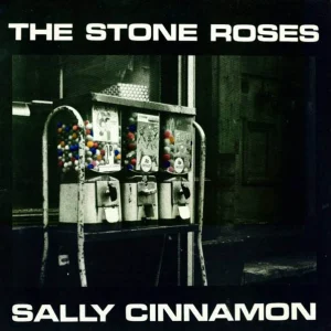 Sally Cinnamon cover art