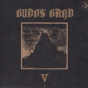 V cover art